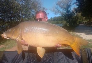 Mirror Carp