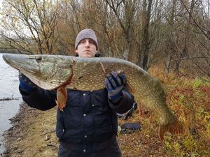 Northern Pike