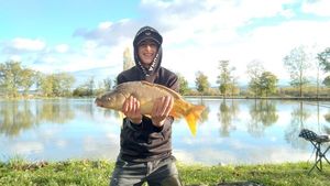Mirror Carp