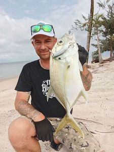 Crevalle Jack