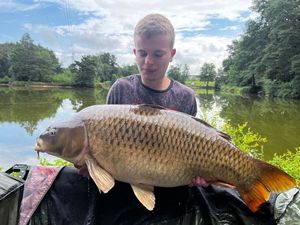 Common Carp