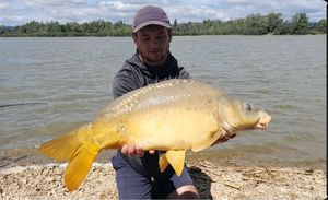 Mirror Carp
