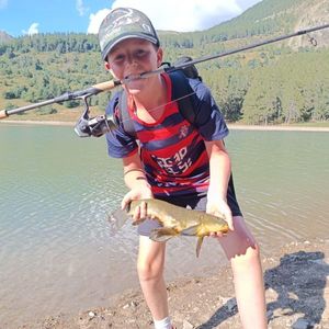 Tench