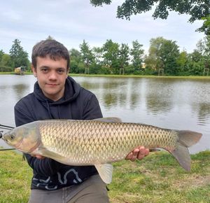 Grass Carp