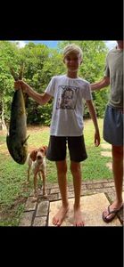 Dolphinfish