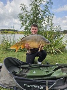 Mirror Carp