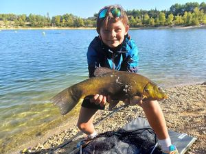 Tench