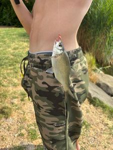 Common Bream