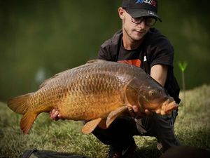 Common Carp