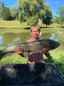 Grass Carp