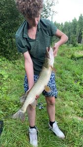 Northern Pike