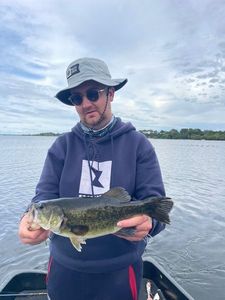 Smallmouth Bass