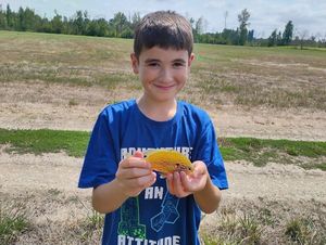 Green Sunfish