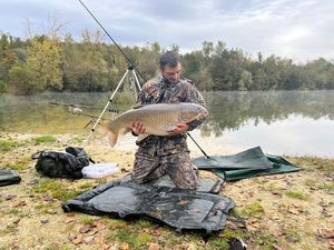 Grass Carp