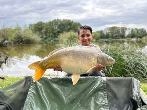 Mirror Carp