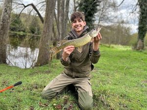 Northern Pike