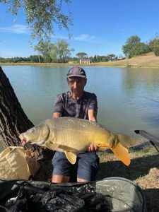 Mirror Carp