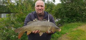 Common Carp
