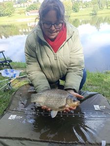 Crucian Carp