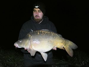 Mirror Carp