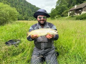 Brown Trout