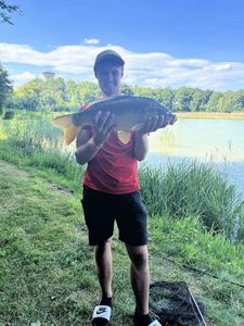 Mirror Carp