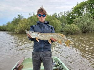 Northern Pike