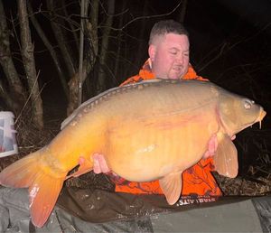 Mirror Carp