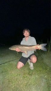 Grass Carp