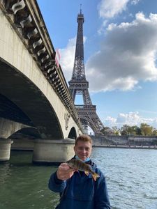 European Perch