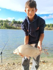 Common Bream