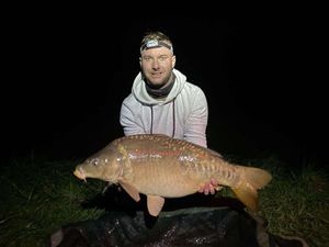 Mirror Carp