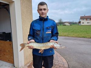 Northern Pike