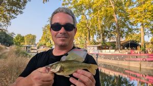 Largemouth Bass