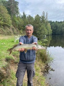 Northern Pike