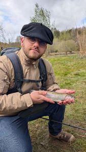 Rainbow Trout