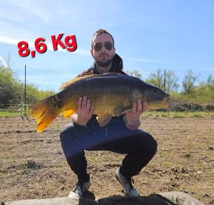 Mirror Carp