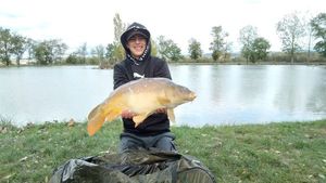 Mirror Carp