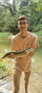 Northern Pike