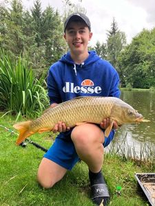 Common Carp