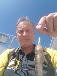 Giant Goby
