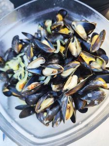 Blue Mussel