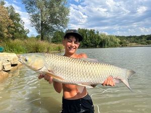 Grass Carp