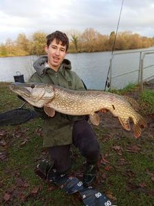 Northern Pike