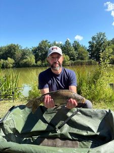 Mirror Carp