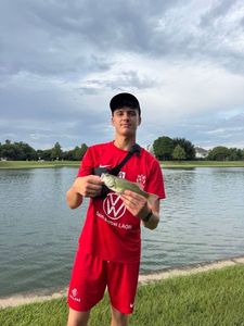 Smallmouth Bass