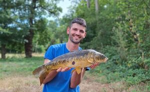 Mirror Carp