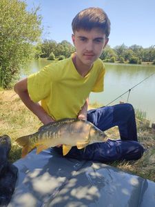 Mirror Carp