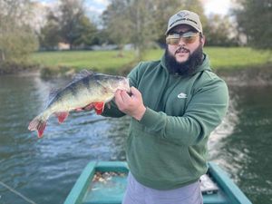 European Perch