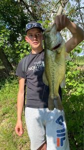 Smallmouth Bass
